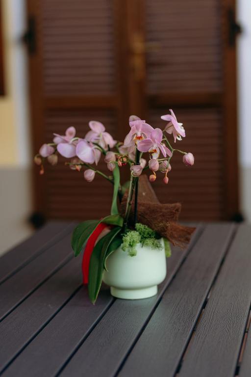 Orchidea sul tavolo